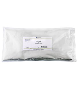 Archival Wheat Starch Powder for Paper Glue Book Repair and Restauration 800g